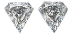 Kite_Cut_Dual